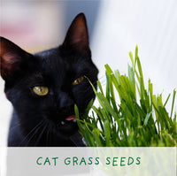 Hairy Pawter. Eco Grow Your Own Cat-Friendly Grow Kit, Gift.