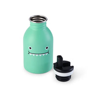 Stainless Steel Bottle - Ricedino Dinosaur