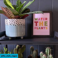 WATER THE PLANTS Art Print