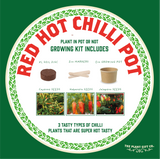 Red Hot Chilli Pot. Grow Your Own Plant Kit, Gardening Gift