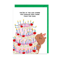 CANDLES COST MORE THAN CAKE Birthday Card