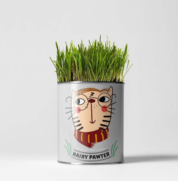 Hairy Pawter. Eco Grow Your Own Cat-Friendly Grow Kit, Gift.