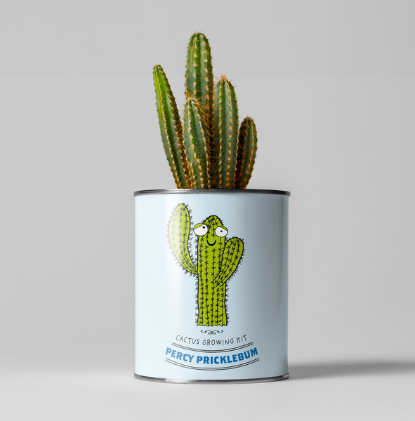 Percy Pricklebum. Grow Your Own Cacti Kit, Gardening Gift