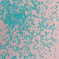 Vegan Bright Blue Confetti