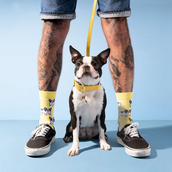 French Bulldog Socks