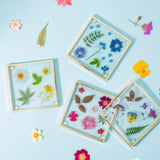 Pressed flower glass coasters