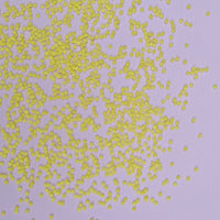 Vegan Bright Yellow Confetti